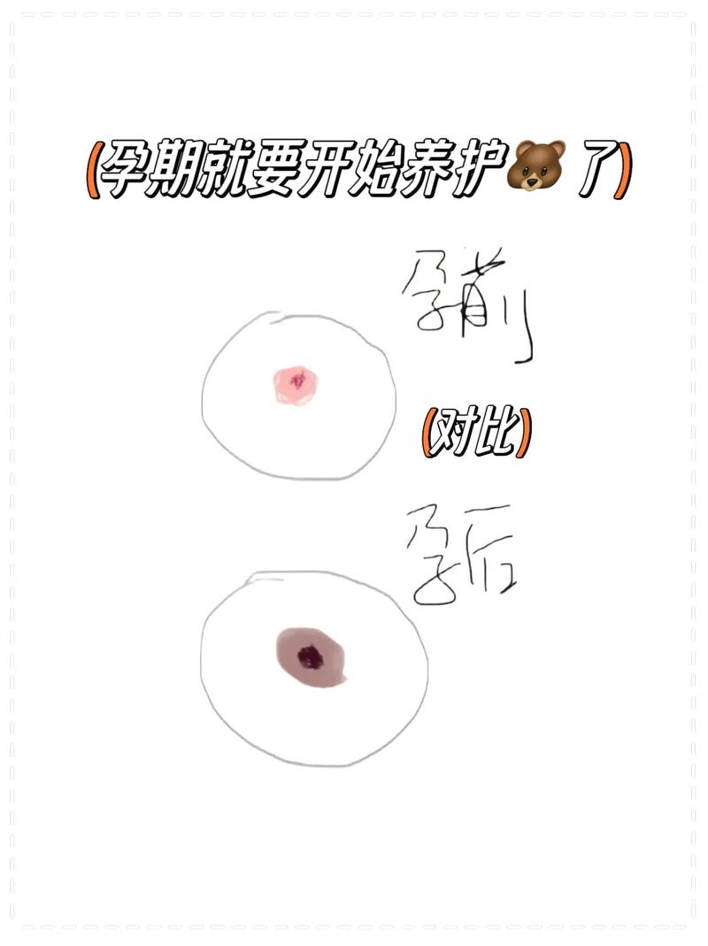 admin 第95页